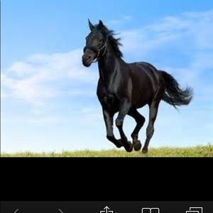 Meet your Posher, Mia